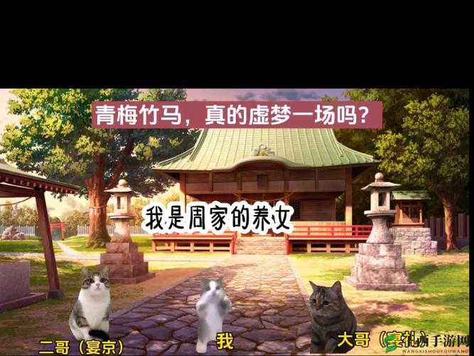 云上情深：如何在《云上城之歌》游戏中策划场浪漫求婚之旅