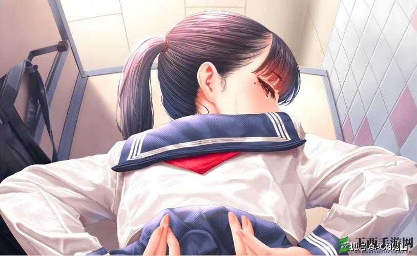 里番 ACG 同人本子库资源汇总