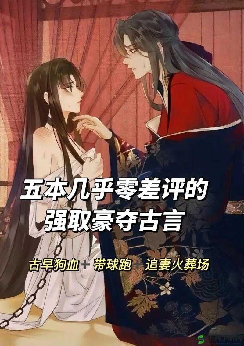 夺卿产ru易昭:一段独特的故事