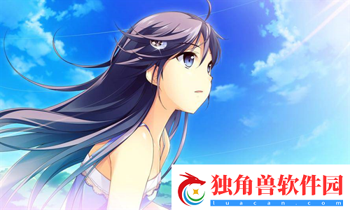 成品网站5668入口的功能介绍：大胆尝试时尚服饰配饰