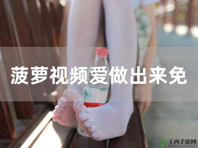 菠萝视频高清 1080P 在线观看：精彩视频随时享