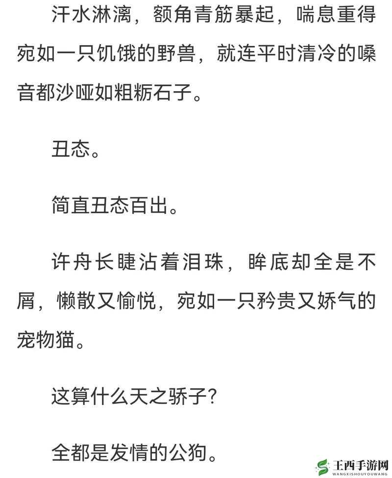 漂亮蠢货注定被炒烂：这是为何