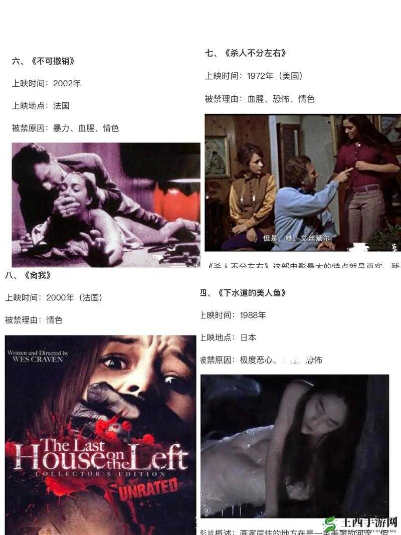 1000 部末年禁止视频：无法观看的禁忌之美