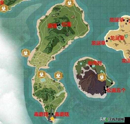 探索创造与魔法：辣椒在哪里最丰富？