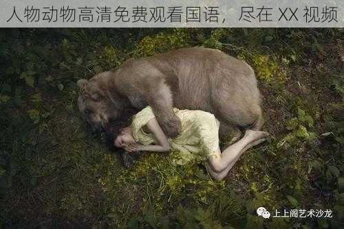 人物动物高清免费观看国语,尽在 XX 视频