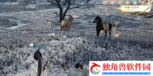 射雕手游六角白梅怎么收集