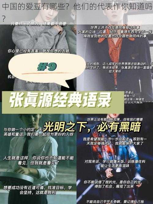 中国的爱豆有哪些?他们的代表作你知道吗?