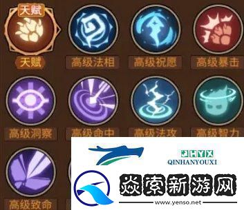 地下城与领主宠物培养哪个好