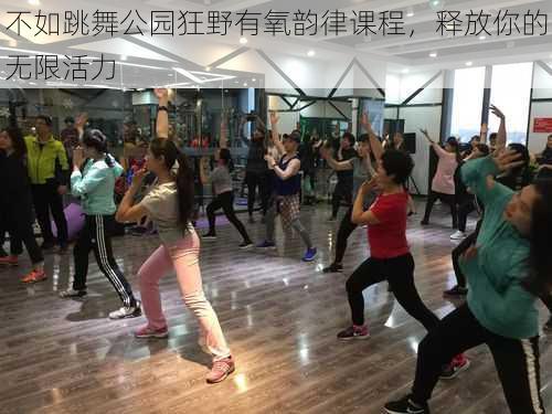 不如跳舞公园狂野有氧韵律课程,释放你的无限活力