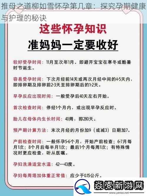 推母之道柳如雪怀孕第几章：探究孕期健康与护理的秘诀