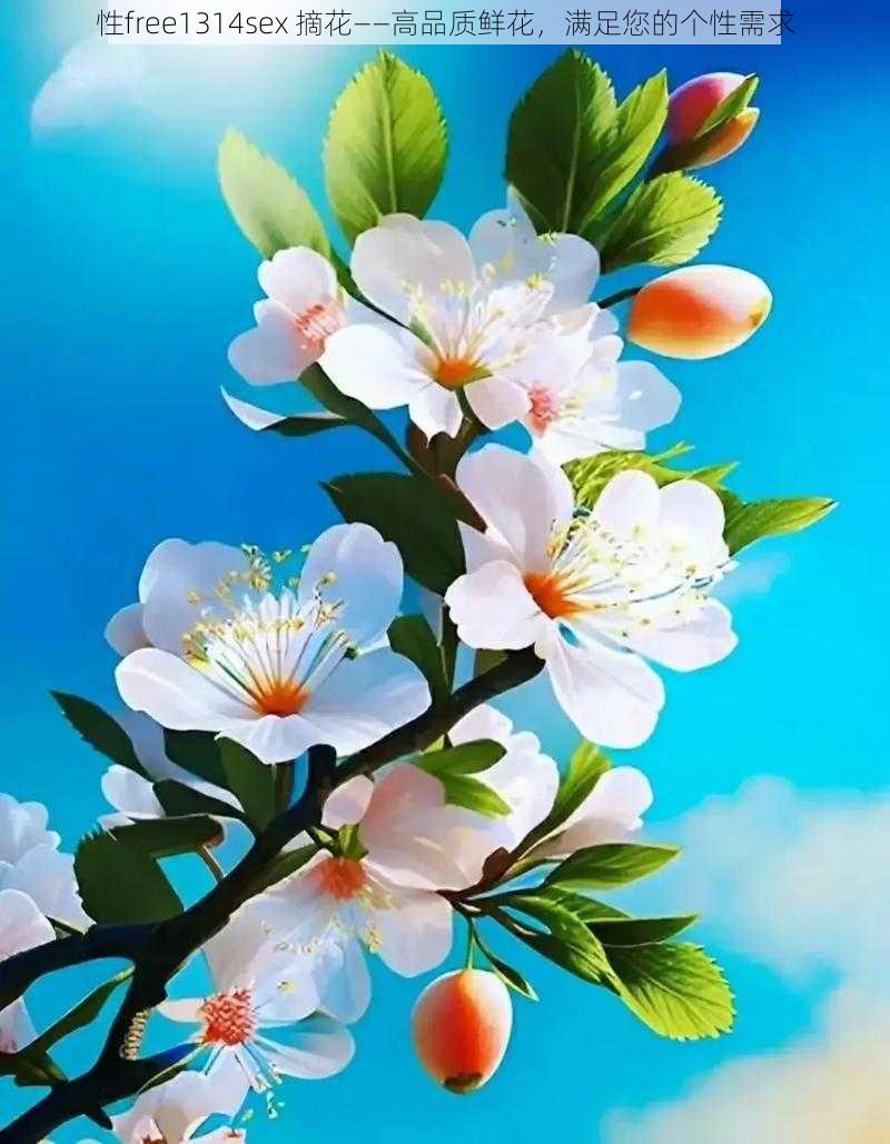 性free1314sex 摘花——高品质鲜花，满足您的个性需求