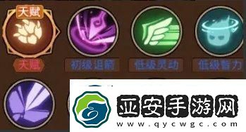 地下城与领主宠物培养哪个好