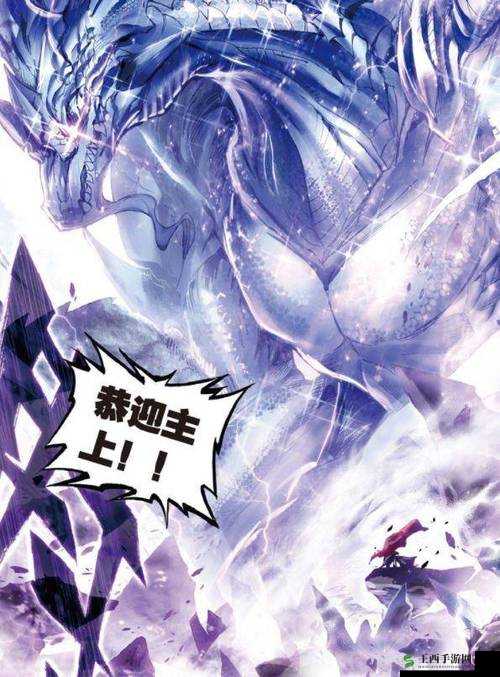 斗罗大陆中神秘无名信的用途究竟为何?