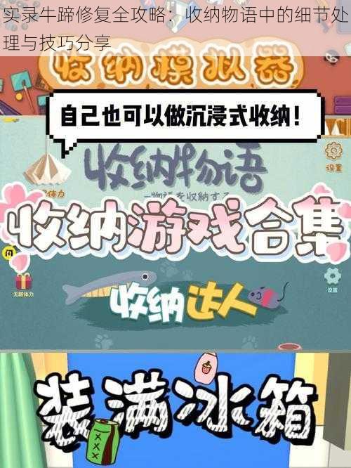 实录牛蹄修复全攻略：收纳物语中的细节处理与技巧分享