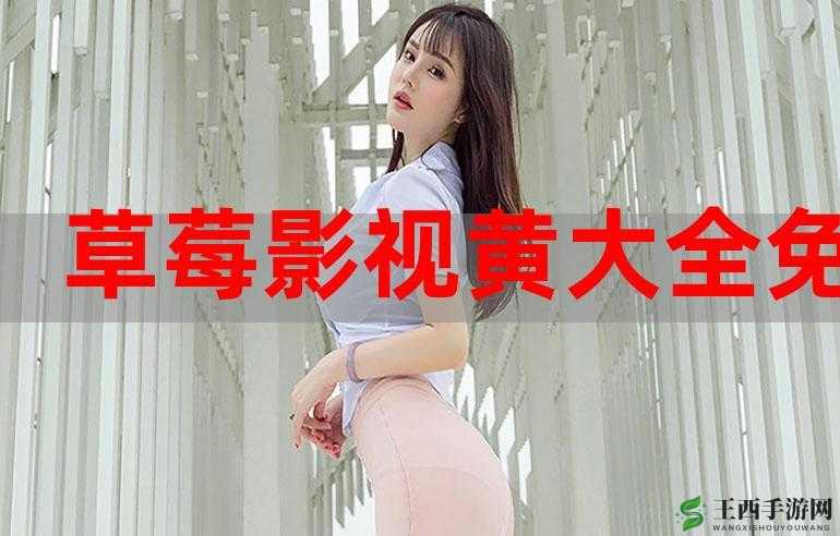 特黄特色大片免费播放器：畅享精彩成人影片