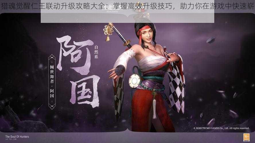 猎魂觉醒仁王联动升级攻略大全:掌握高效升级技巧,助力你在游戏中快速崭露头角