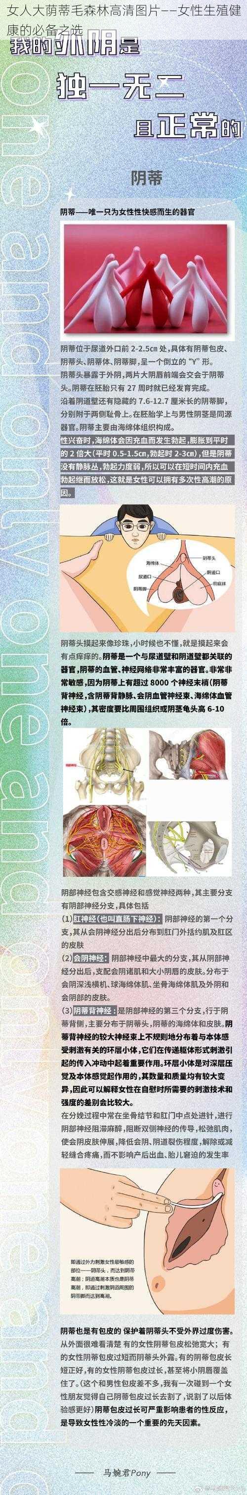 女人大荫蒂毛森林高清图片——女性生殖健康的必备之选