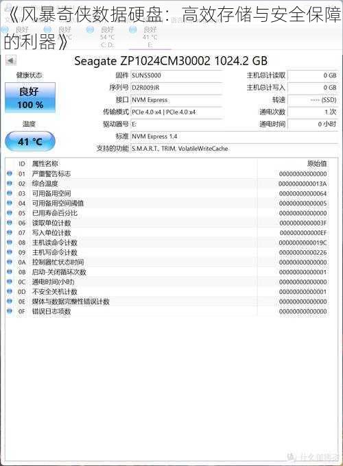 《风暴奇侠数据硬盘：高效存储与安全保障的利器》