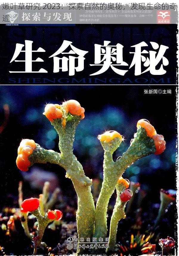 嫩叶草研究 2023:探索自然的奥秘,发现生命的奇迹