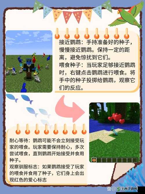 《我的世界》鹦鹉繁殖方法指南