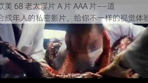 欧美 68 老太淫片 A 片 AAA 片——适合成年人的私密影片，给你不一样的视觉体验