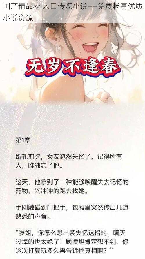 国产精品秘 入口传媒小说——免费畅享优质小说资源