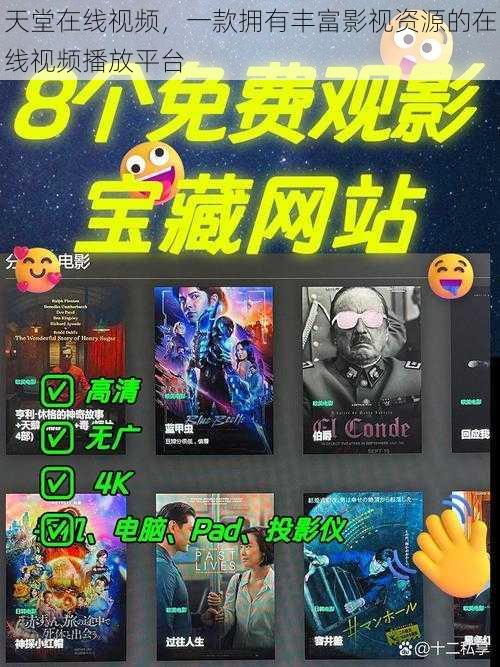 天堂在线视频,一款拥有丰富影视资源的在线视频播放平台