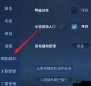 王者荣耀隐藏段位设置攻略：如何不显示段位信息，保护隐私与战术布局