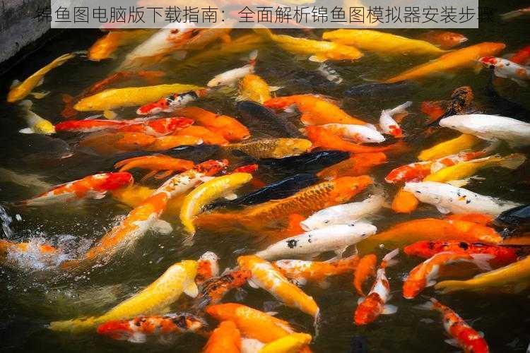 锦鱼图电脑版下载指南:全面解析锦鱼图模拟器安装步骤