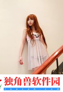 伊苏6纳比斯汀的方舟宝箱在哪里