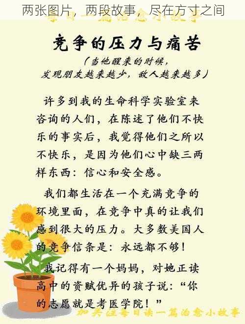 两张图片,两段故事,尽在方寸之间