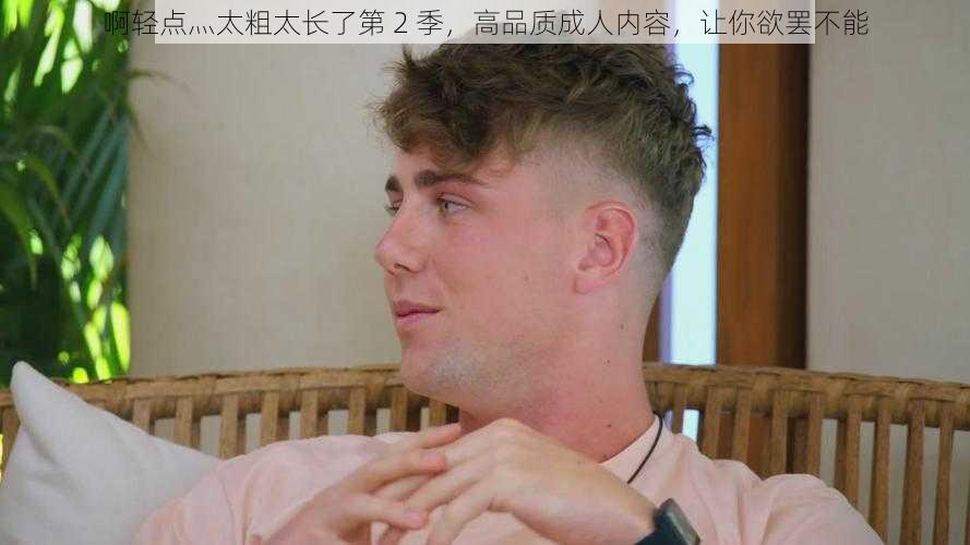 啊轻点灬太粗太长了第 2 季，高品质成人内容，让你欲罢不能