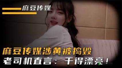 麻豆精品密国产传媒 AⅤ：精彩内容不容错过