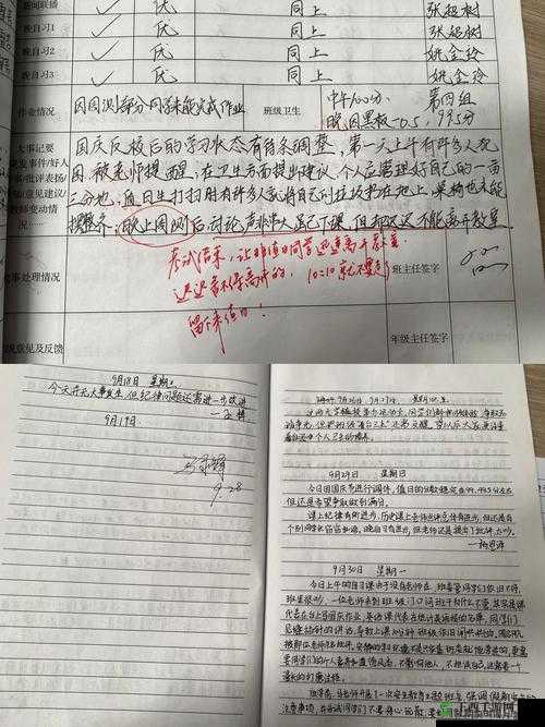 奈的教育日记：教师成长的点滴记录