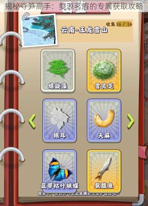 揭秘夺笋高手：婺源茗眉的专属获取攻略