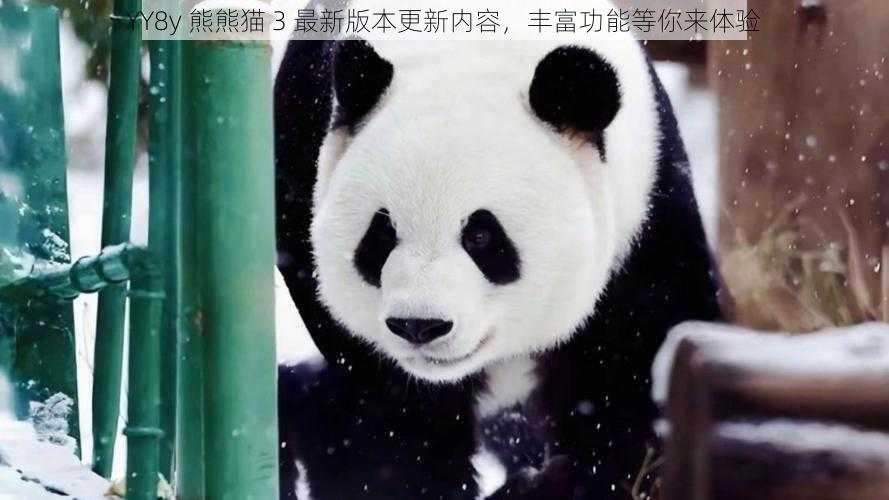 YY8y 熊熊猫 3 最新版本更新内容，丰富功能等你来体验