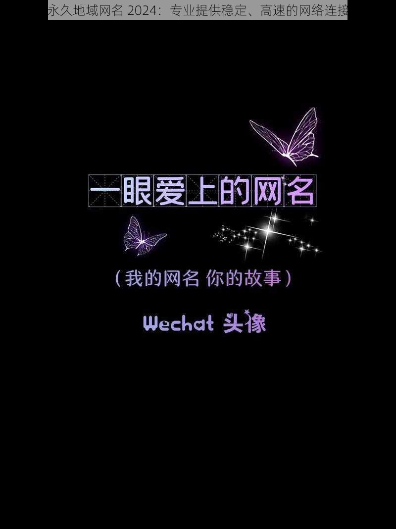 四库永久地域网名 2024:专业提供稳定、高速的网络连接服务