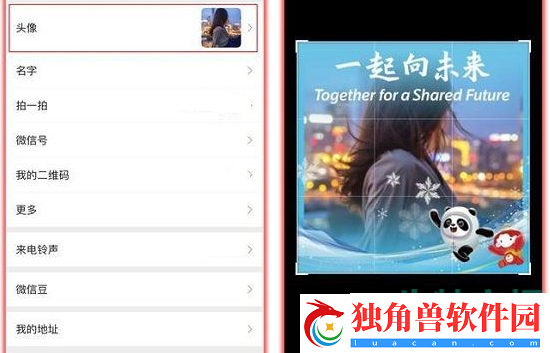 微信冬奥头像框怎么获得