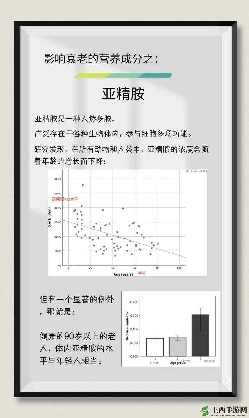 亚精区在二线三线区别 99：深度解析与探讨