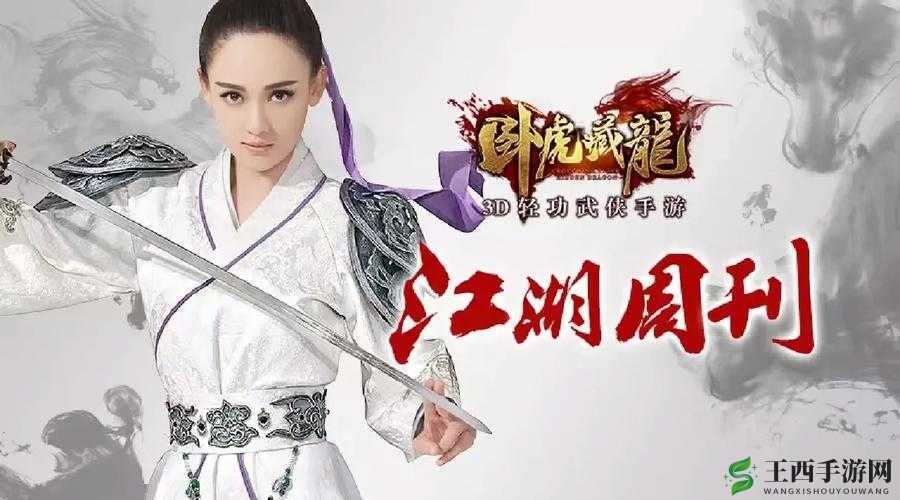 卧虎藏龙师徒玩法：独特魅力与精彩体验