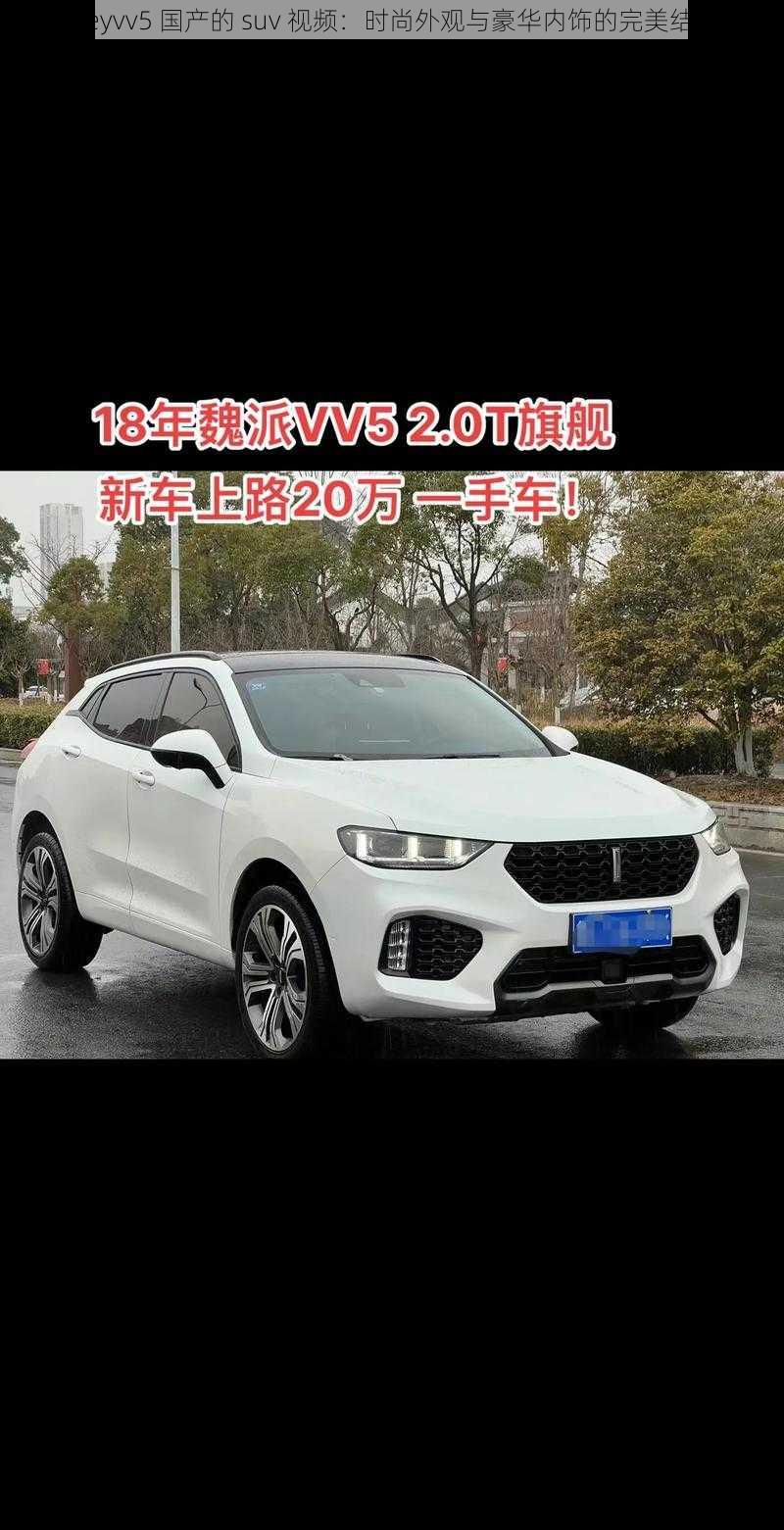 weyvv5 国产的 suv 视频:时尚外观与豪华内饰的完美结合