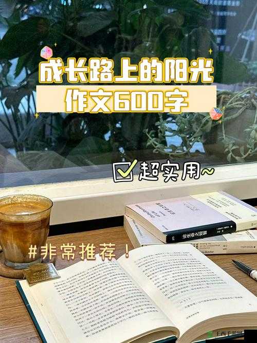 《汉字寻踪：挑战王找字東攻略大揭秘》