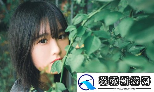 成品网站1.1.719全新升级：打造快速、优质的建站体验！