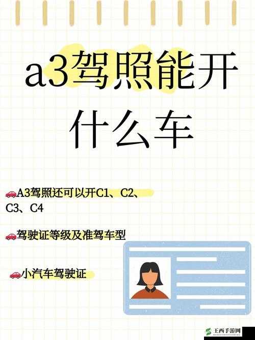 国产 A1a2a317c 最新使用攻略：实用技巧分享