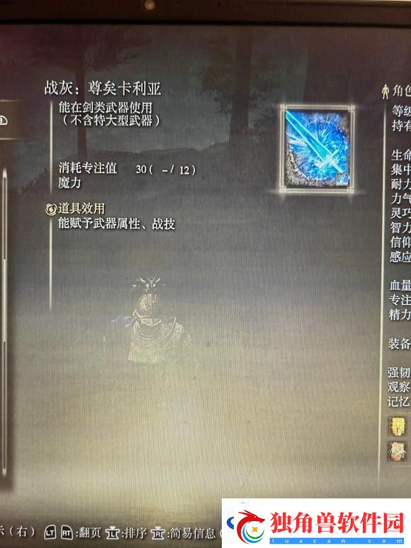 艾尔登法环dlc尊矣卡利亚的地点