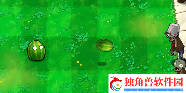 植物大战僵尸杂交版西瓜坚果如何才能获得呢作用介绍