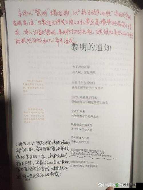 W 无区码一码二码三码:探索未知的密码世界