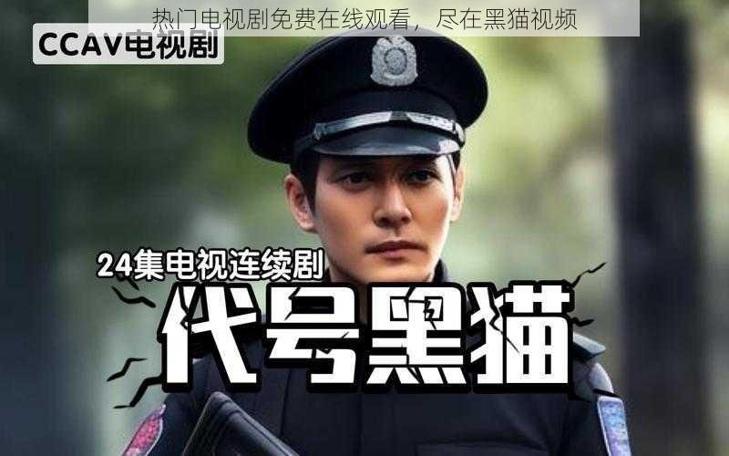 热门电视剧免费在线观看，尽在黑猫视频