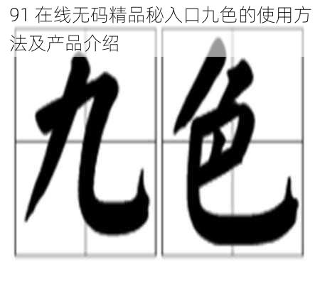 91 在线**精品秘入口九色的使用方法及产品介绍