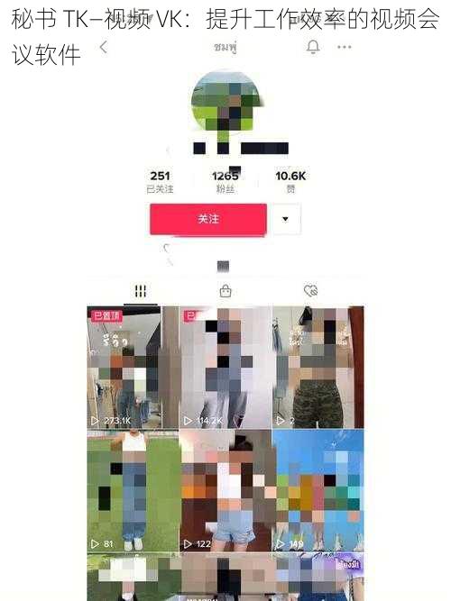 秘书 TK—视频 VK：提升工作效率的视频会议软件